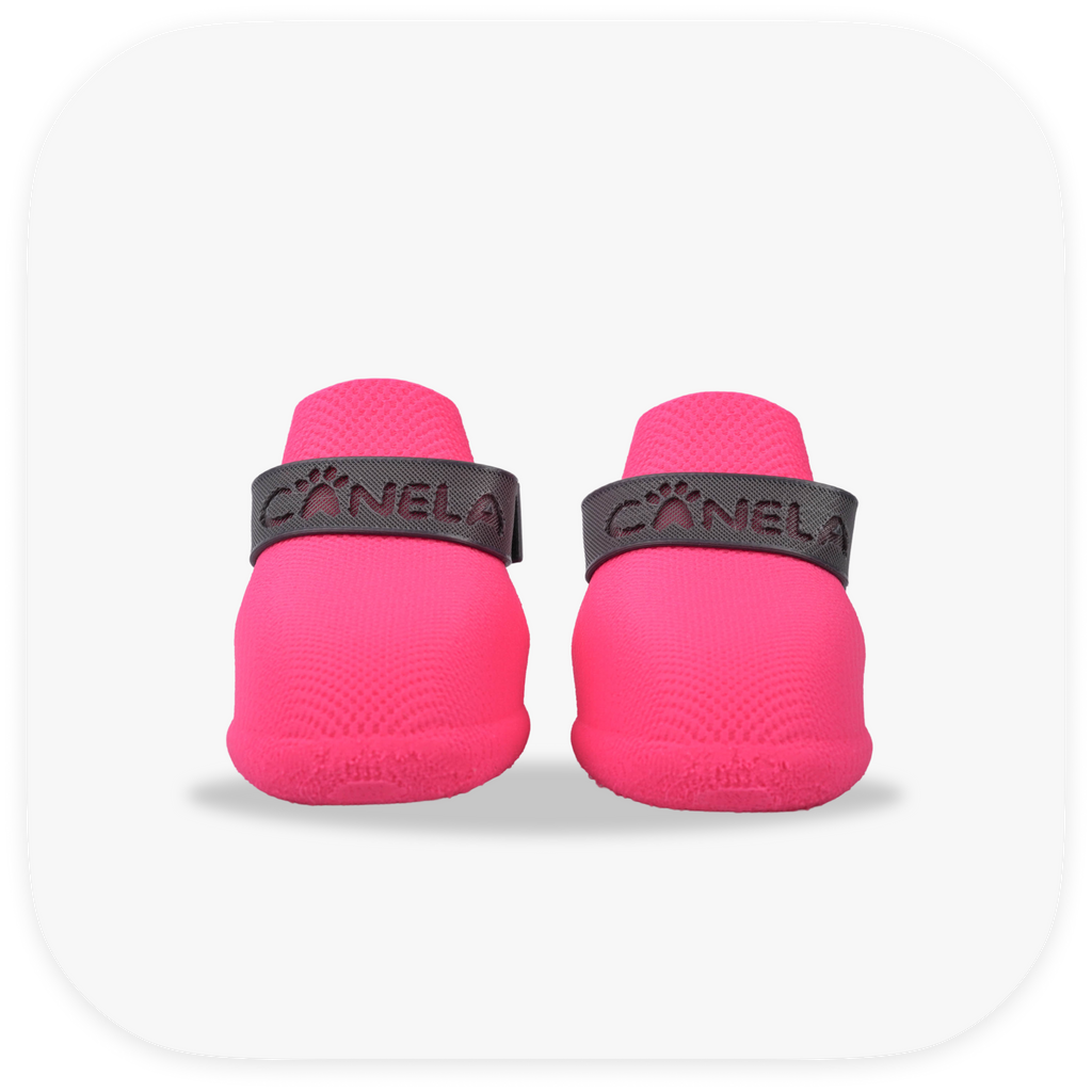 Canela ForméFit ID - Canela Pink- Urban Smoke custom two-tone dog boots - front view