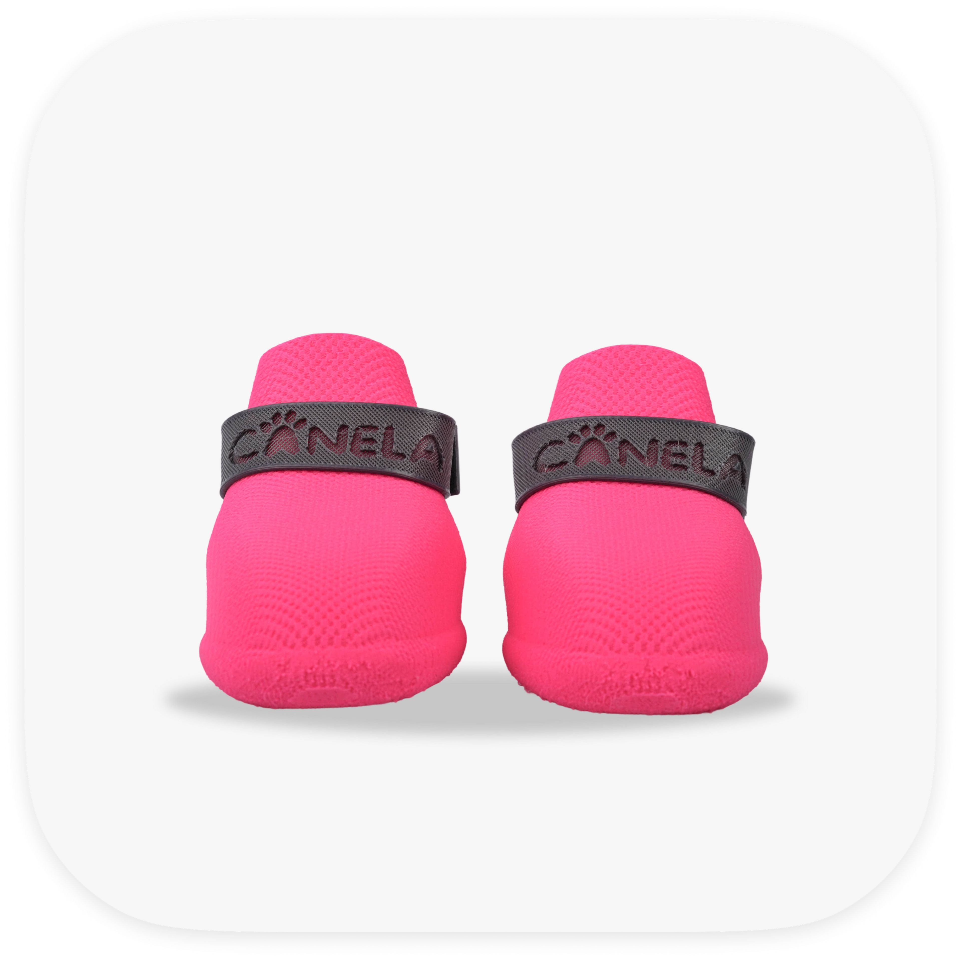 Canela ForméFit ID - Canela Pink- Urban Smoke custom two-tone dog boots - front view