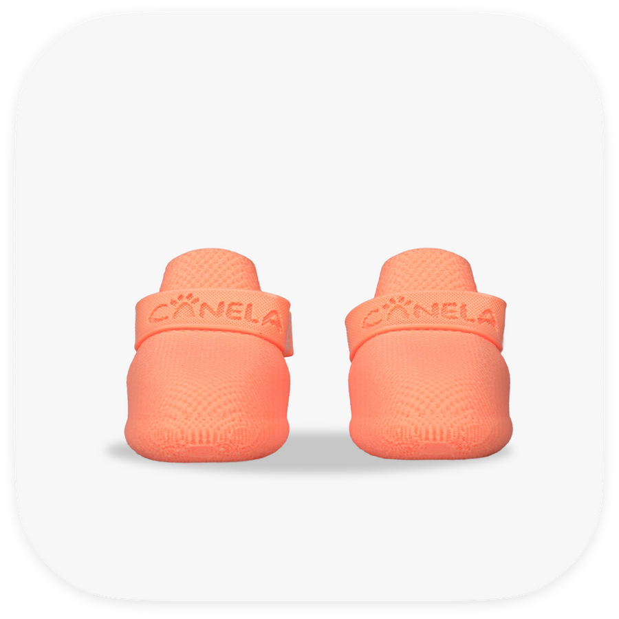 Canela ForméFit Original - Cantaloupe custom-fit dog boots - front view