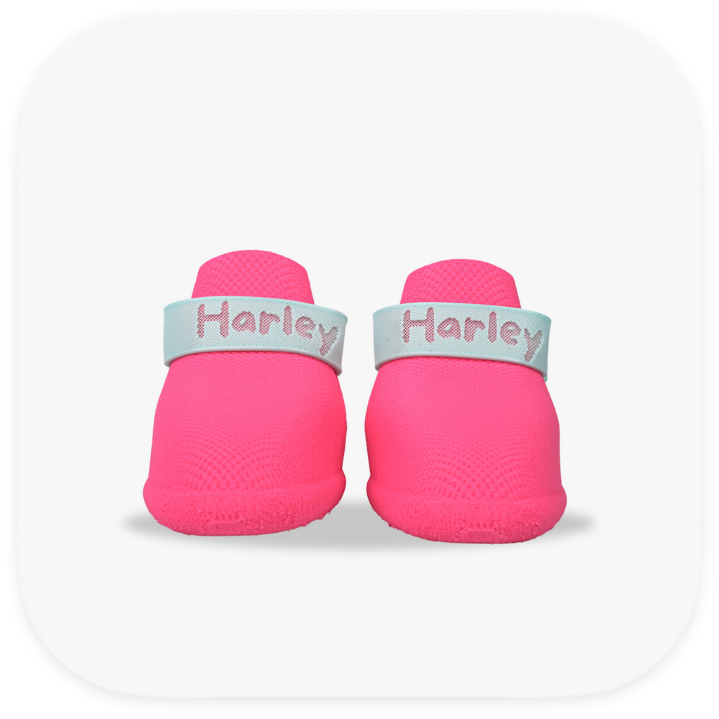 Canela ForméFit ID - Canela Pink - Turquoise custom two-tone dog boots - front view