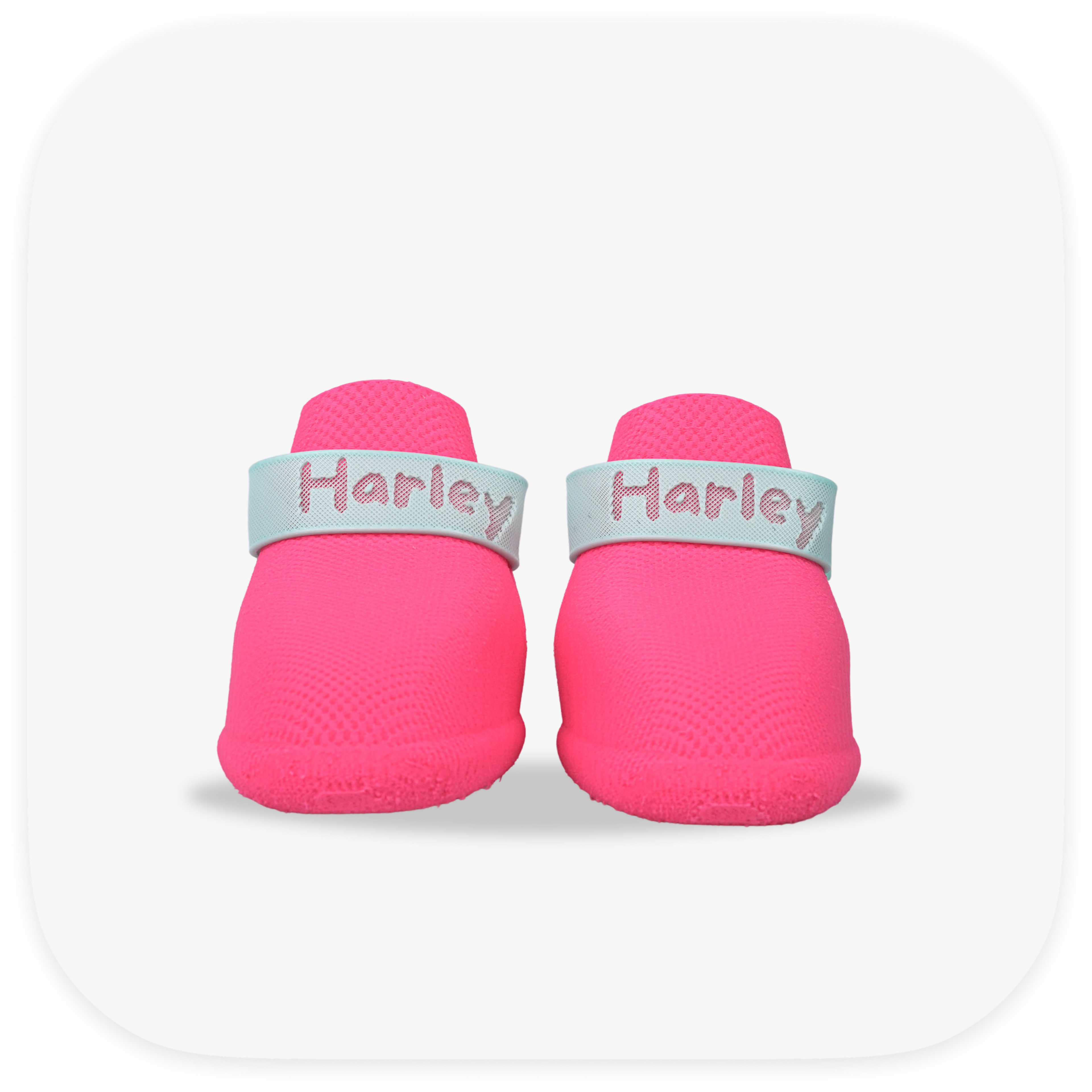Canela ForméFit ID - Canela Pink - Turquoise custom two-tone dog boots - front view