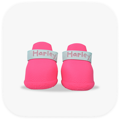 Canela ForméFit ID - Canela Pink - Turquoise custom two-tone dog boots - front view