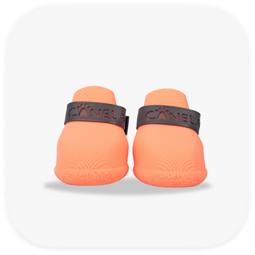 Canela ForméFit ID - Cantaloupe - Urban Smoke custom two-tone dog boots - front view