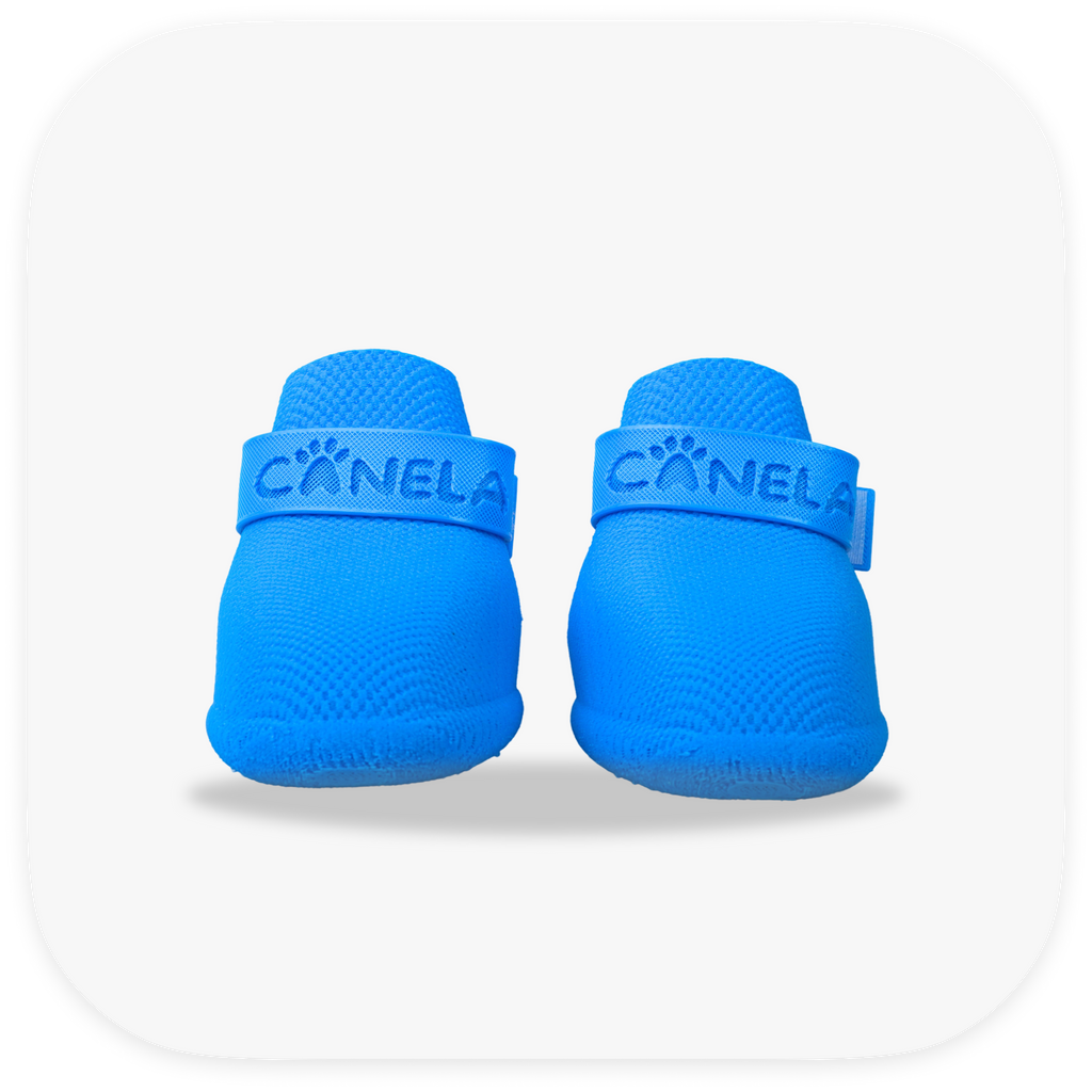 Canela ForméFit Original - Cookie Blue custom-fit dog boots - front view