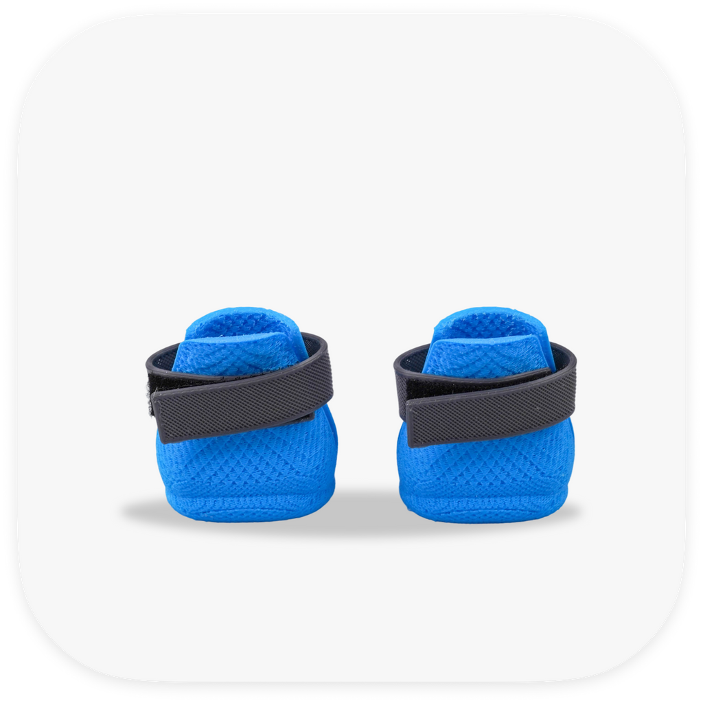 Canela ForméFit ID - Cookie Blue - Urban Smoke custom two-tone dog boots - rear view