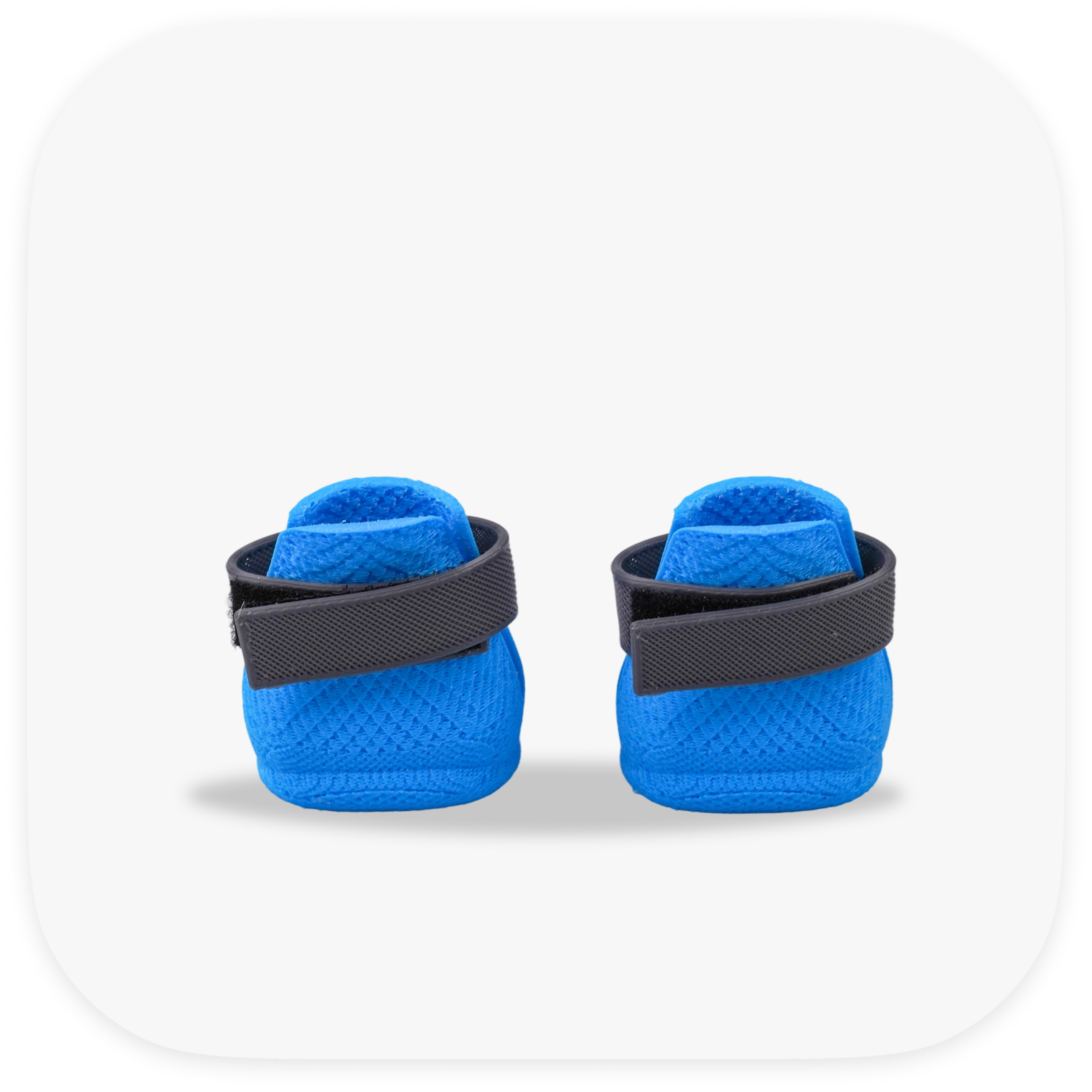 Canela ForméFit ID - Cookie Blue - Urban Smoke custom two-tone dog boots - rear view