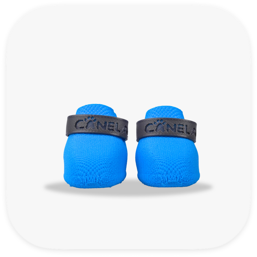 Canela ForméFit ID - Cookie Blue - Urban Smoke custom two-tone dog boots - front view