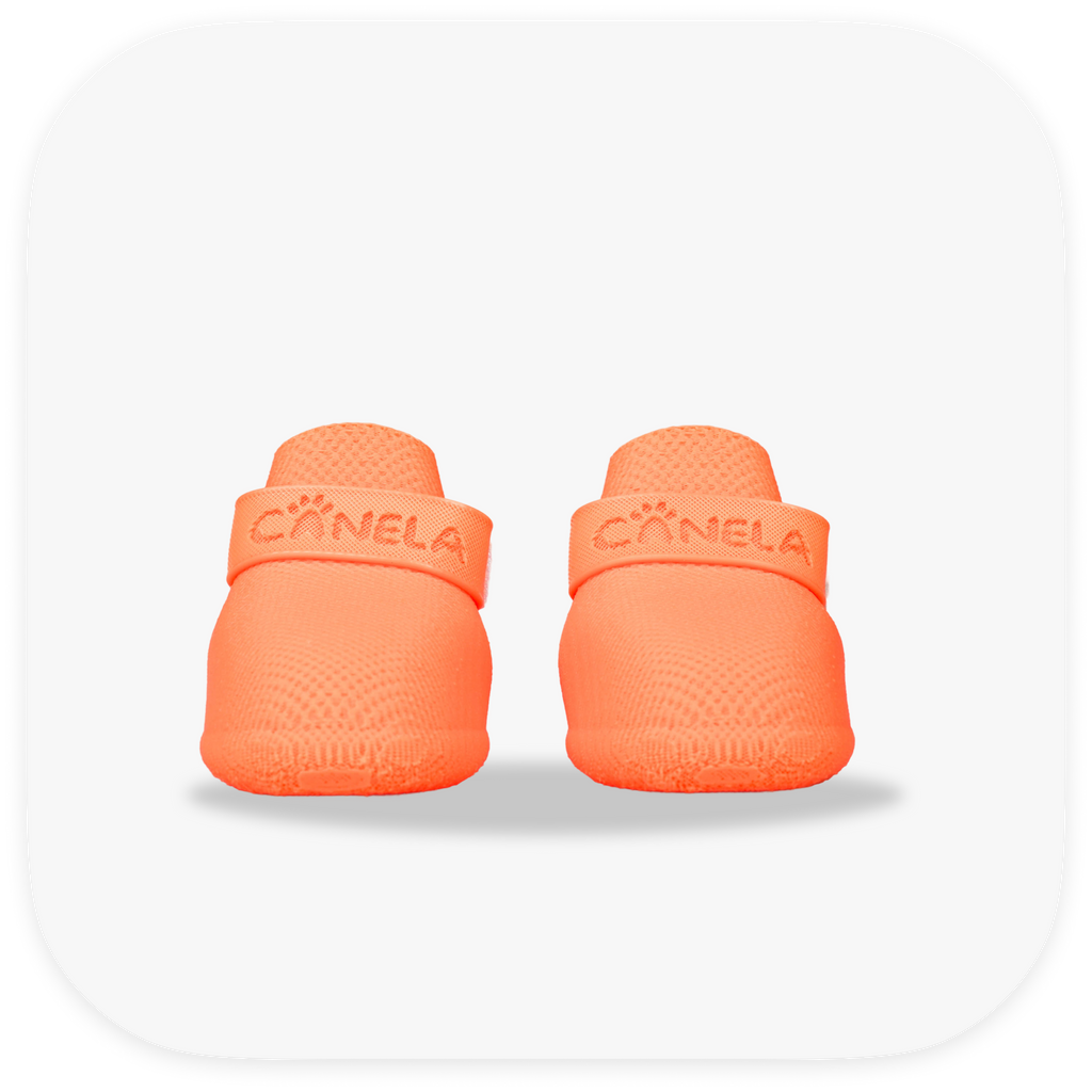 Canela ForméFit Original - Coral custom-fit dog boots - front view