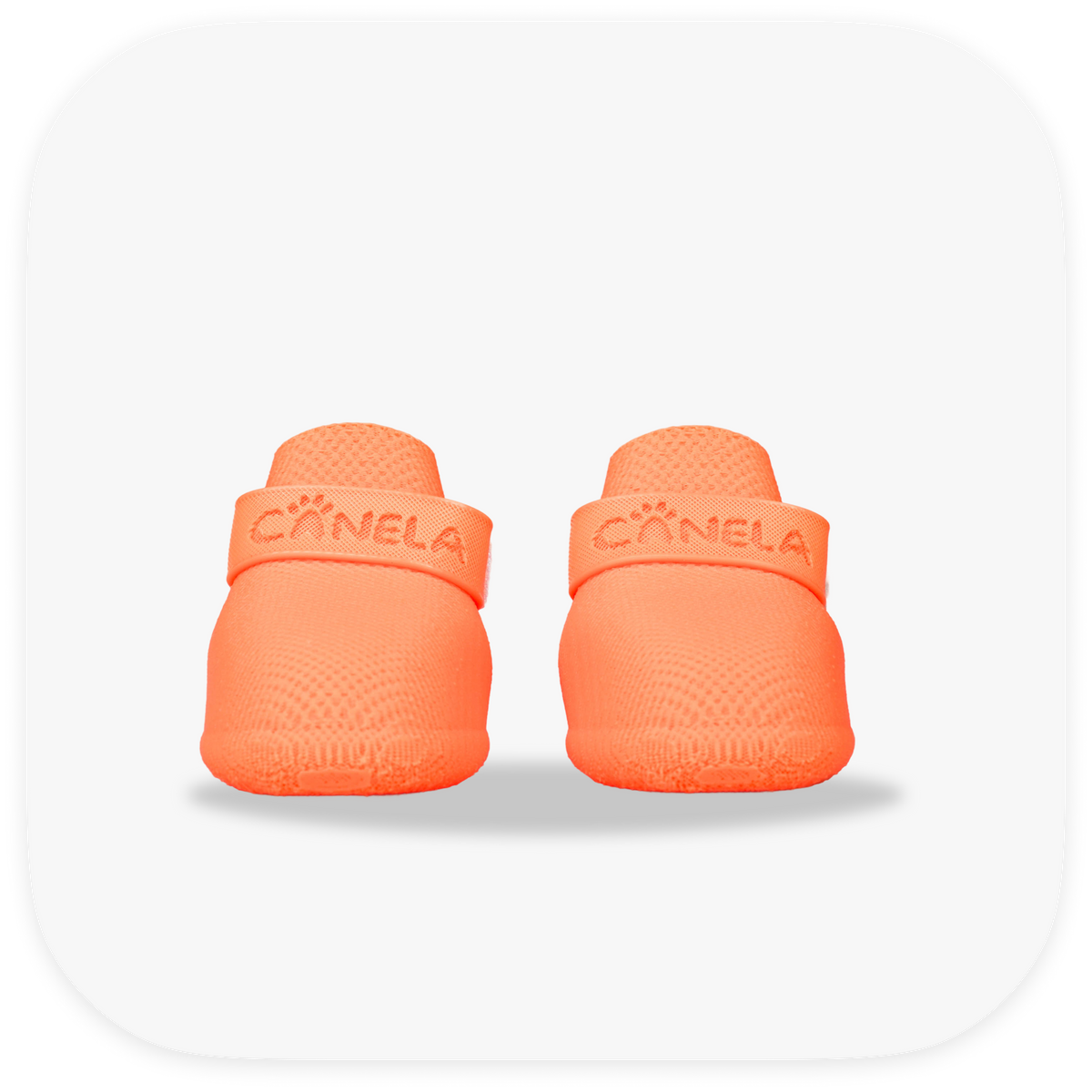 Canela ForméFit Original - Coral custom-fit dog boots - front view