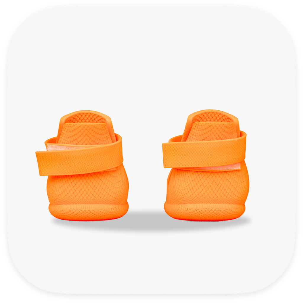 Canela ForméFit Original - Mandarin Orange custom-fit dog boots - rear view