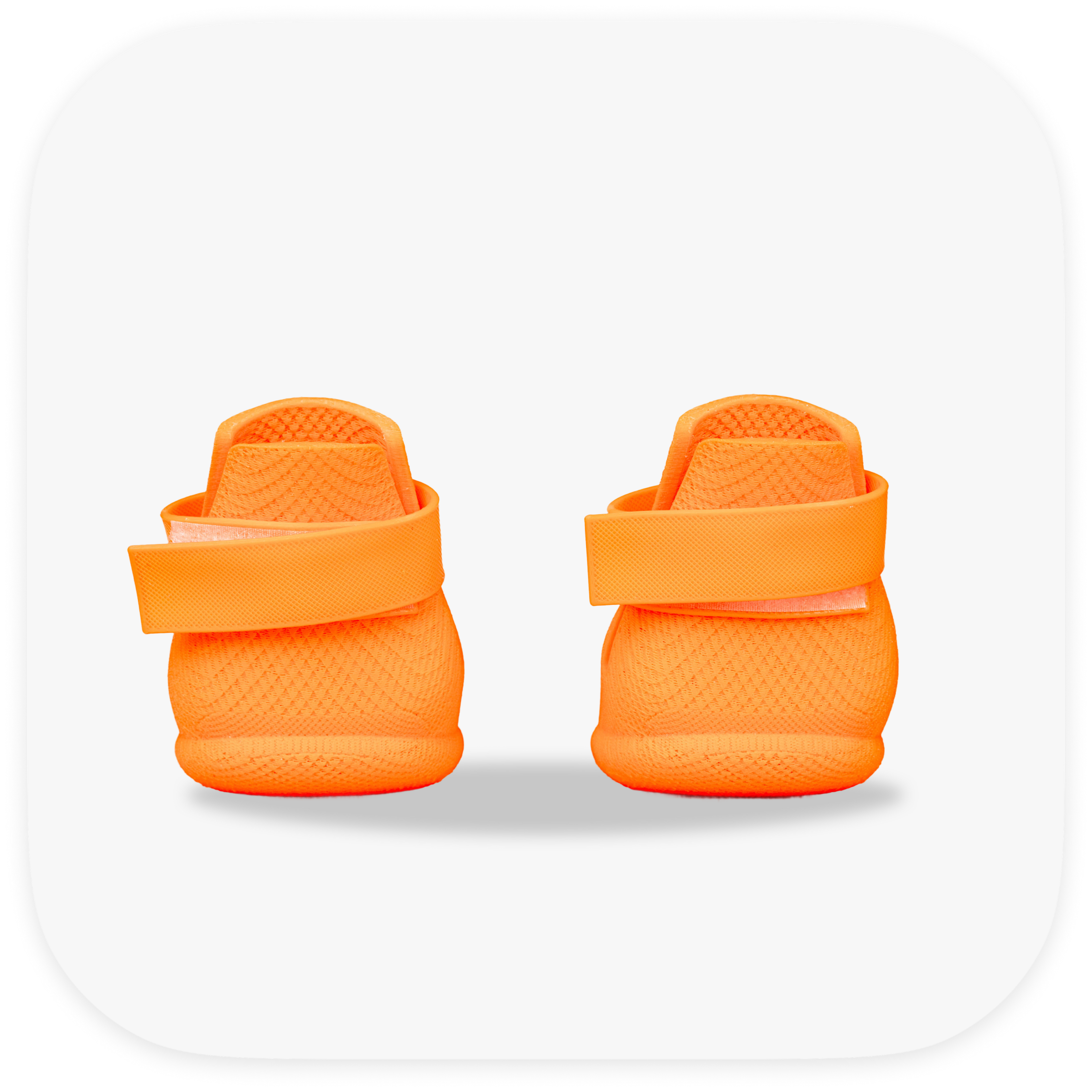 Canela ForméFit Original - Mandarin Orange custom-fit dog boots - rear view