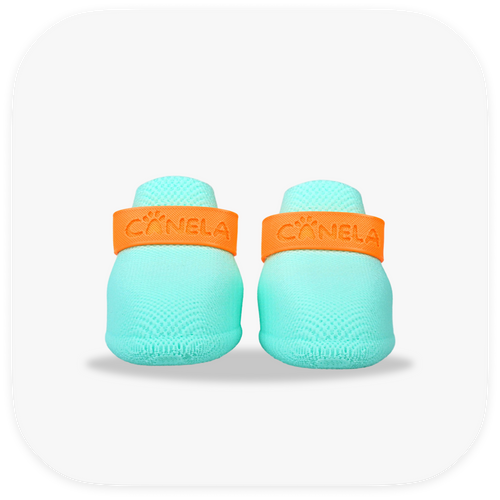 Canela ForméFit ID - Turquoise - Mandarin Orange custom two-tone dog boots - front view