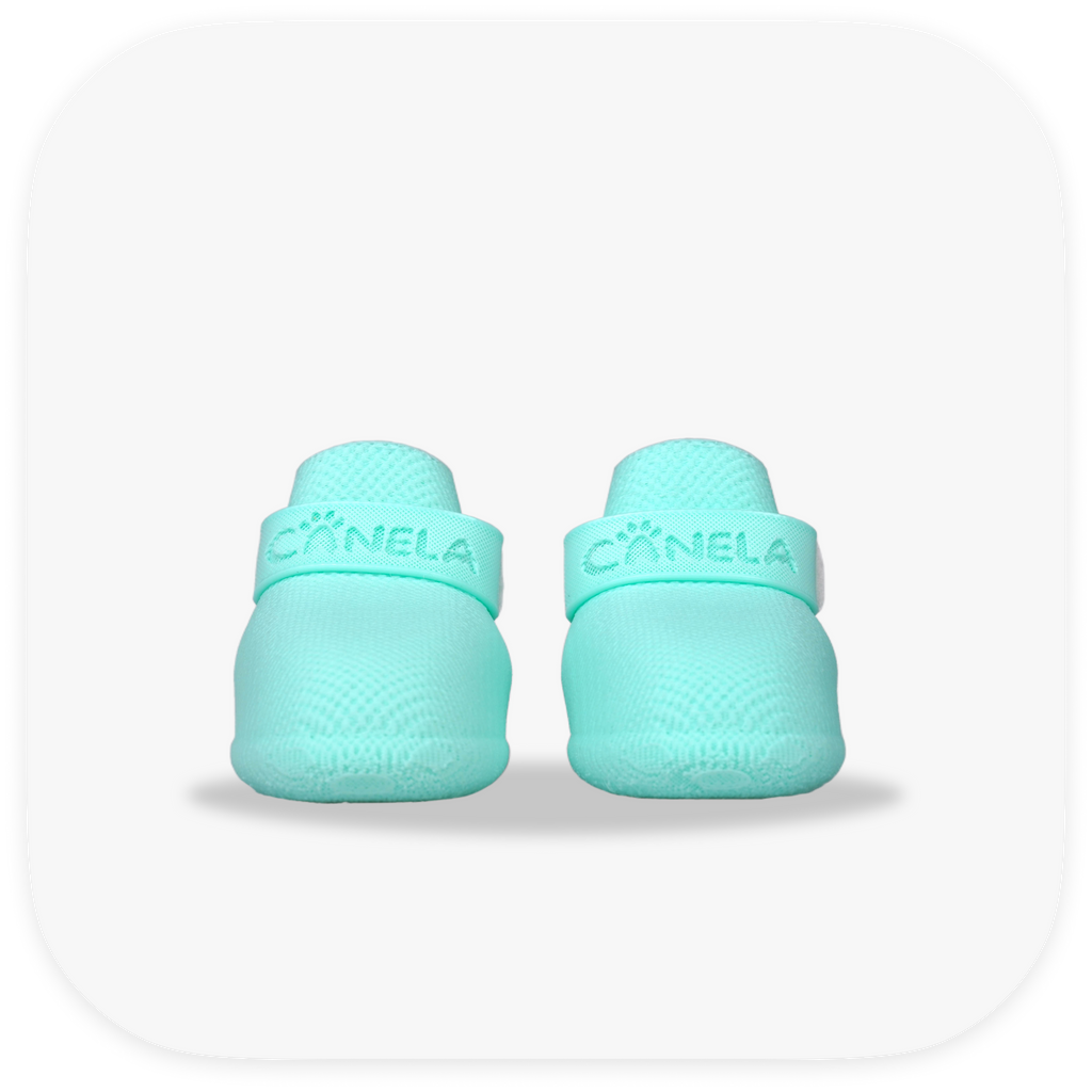 Canela ForméFit Original - Turquoise custom-fit dog boots - front view