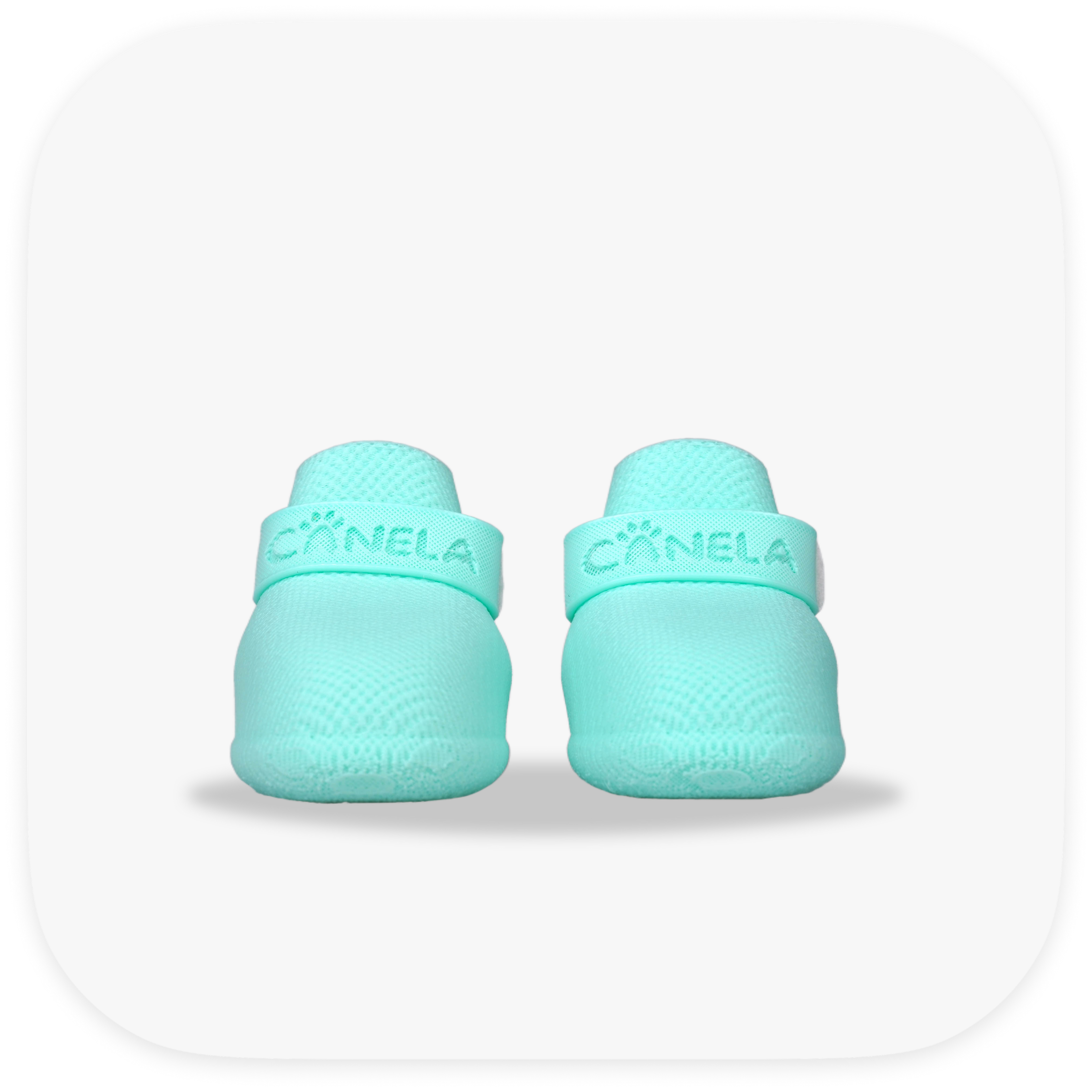 Canela ForméFit Original - Turquoise custom-fit dog boots - front view