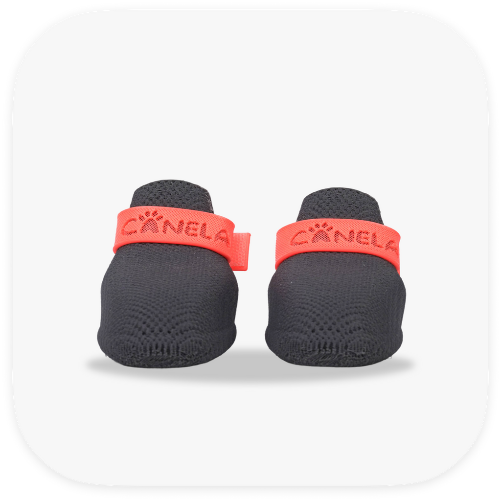 Canela ForméFit ID - Urban Smoke - Watermelon Sugar custom two-tone dog boots - front view