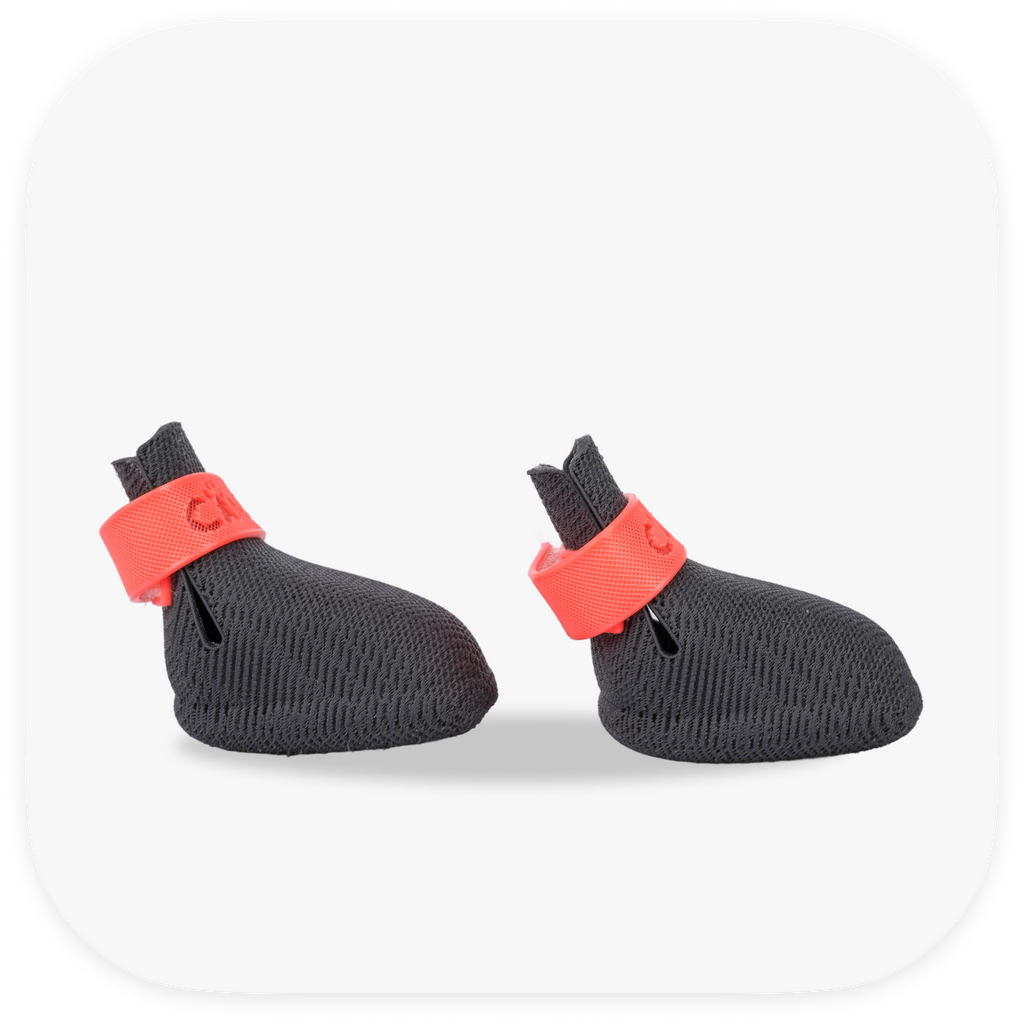 Canela ForméFit ID - Urban Smoke - Watermelon Sugar custom two-tone dog boots - right side view