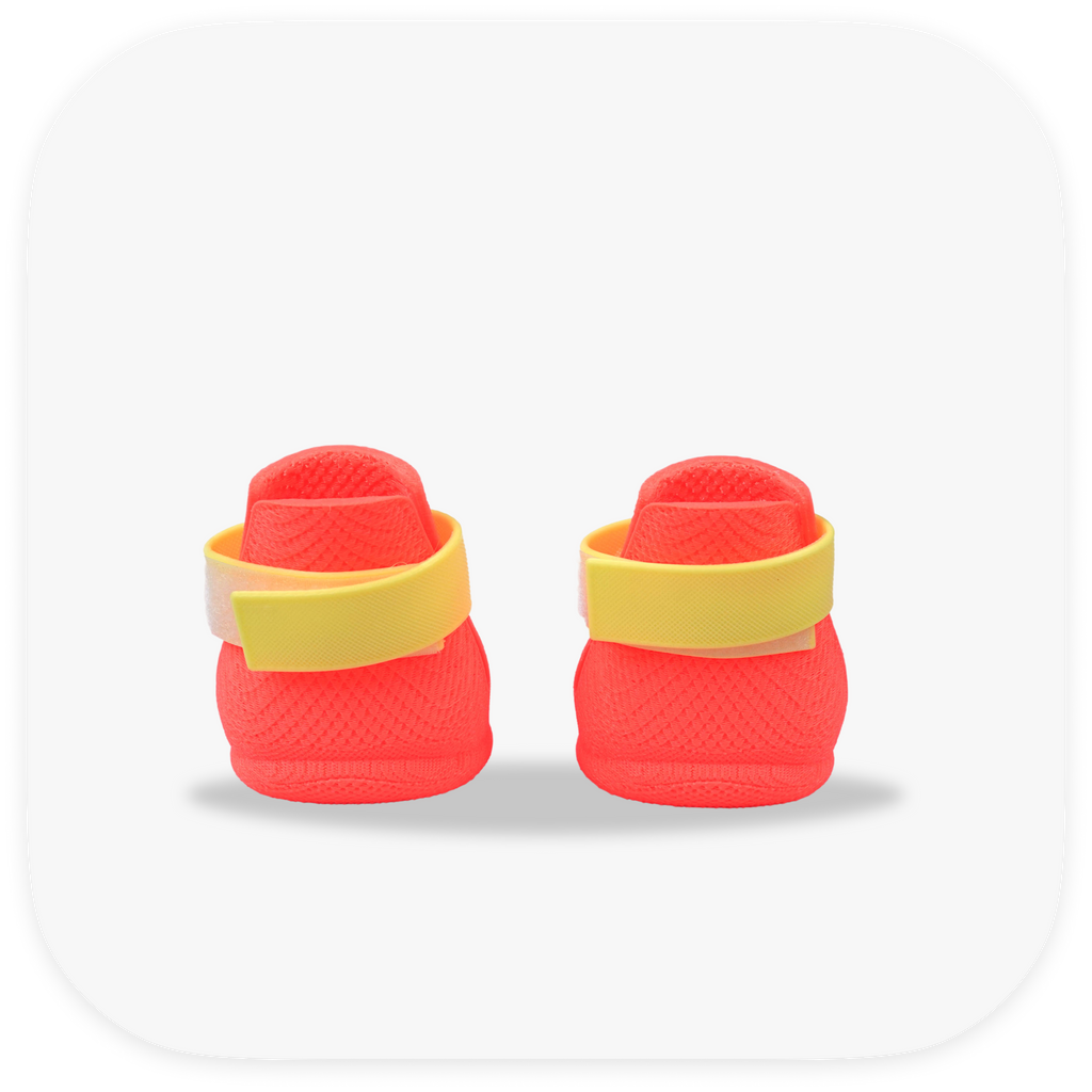 Canela ForméFit ID - Watermelon Sugar - Limoncello custom two-tone dog boots - rear view