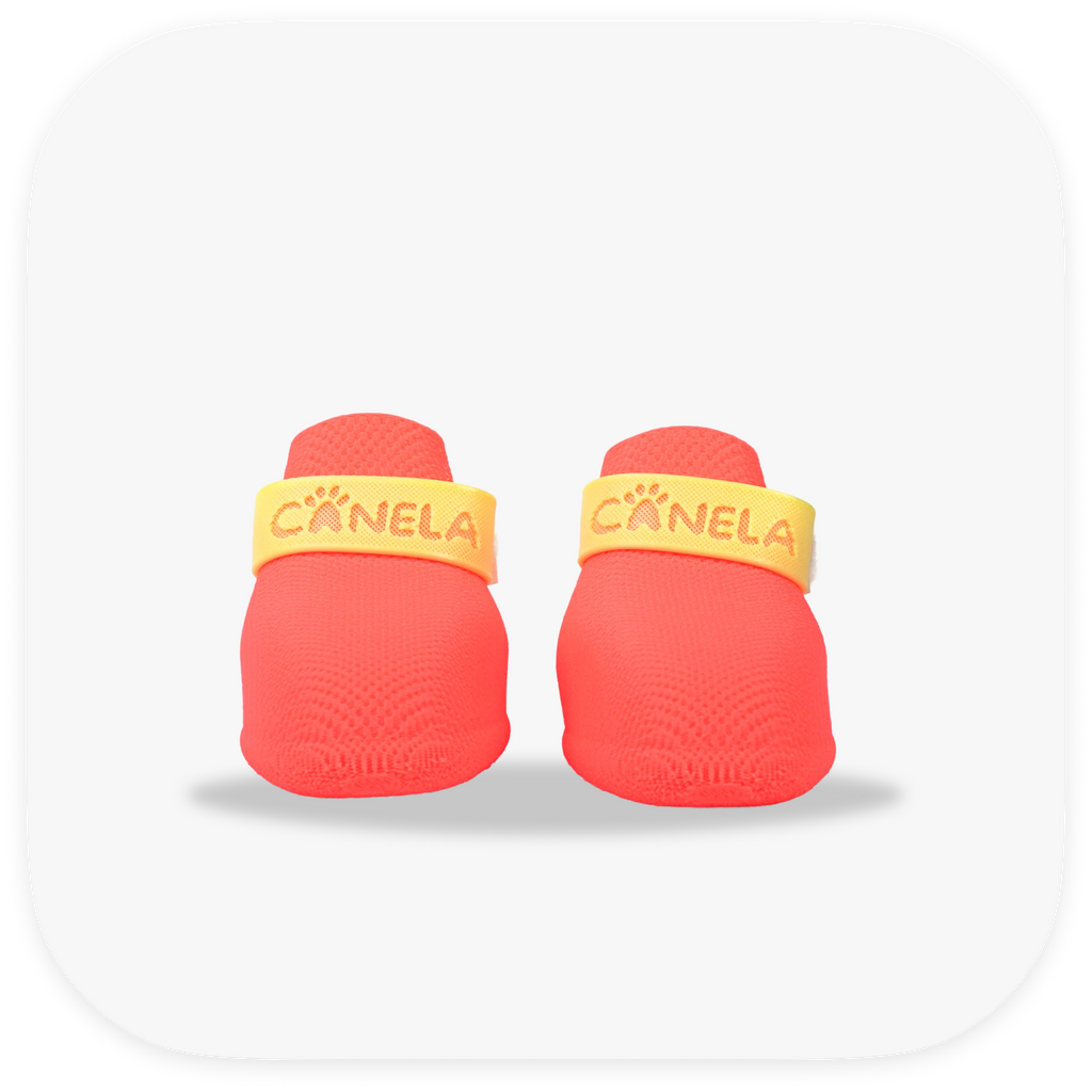 Canela ForméFit ID - Watermelon Sugar - Limoncello custom two-tone dog boots - front view