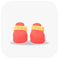 Canela ForméFit ID - Watermelon Sugar - Limoncello custom two-tone dog boots - front view