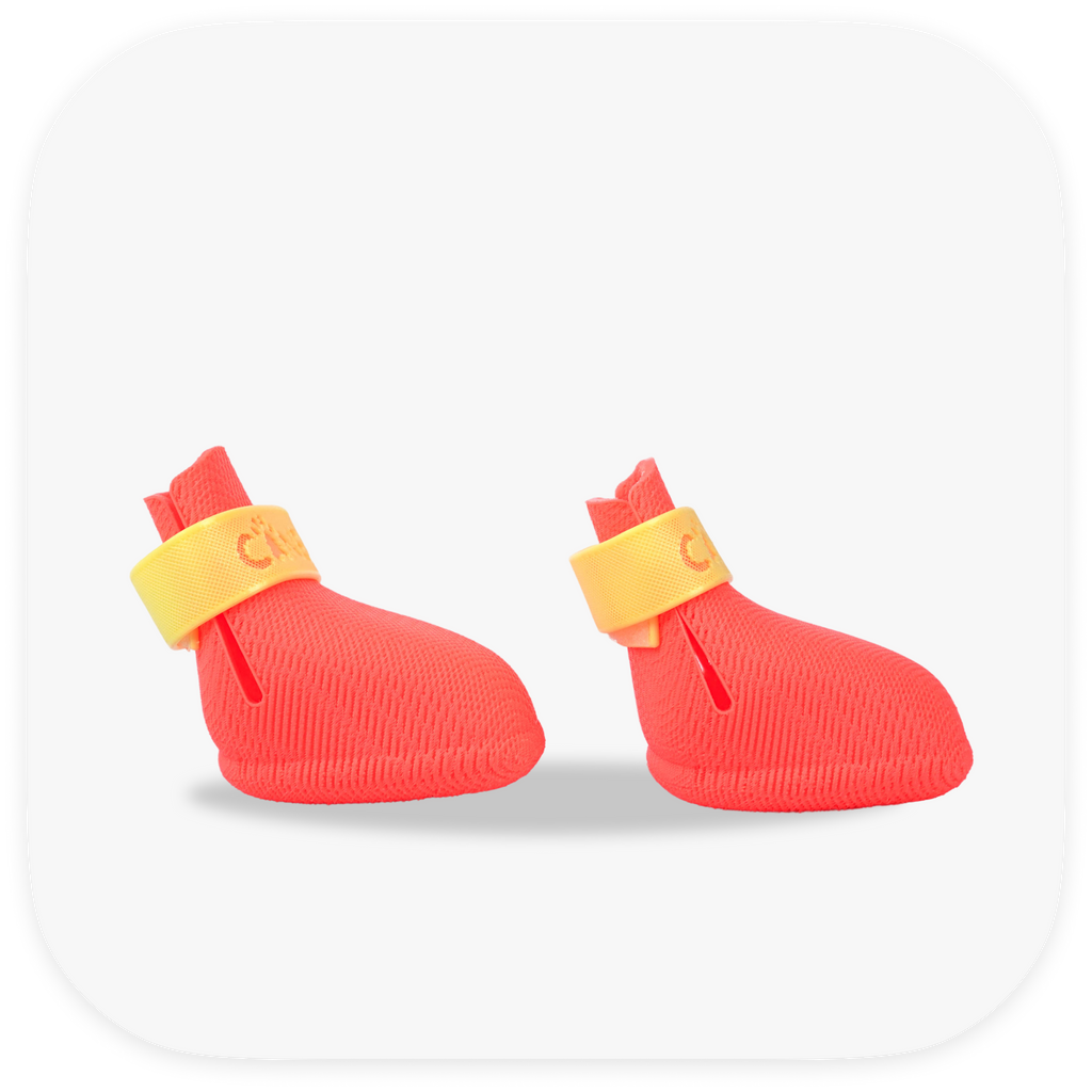 Canela ForméFit ID - Watermelon Sugar - Limoncello custom two-tone dog boots - right side view