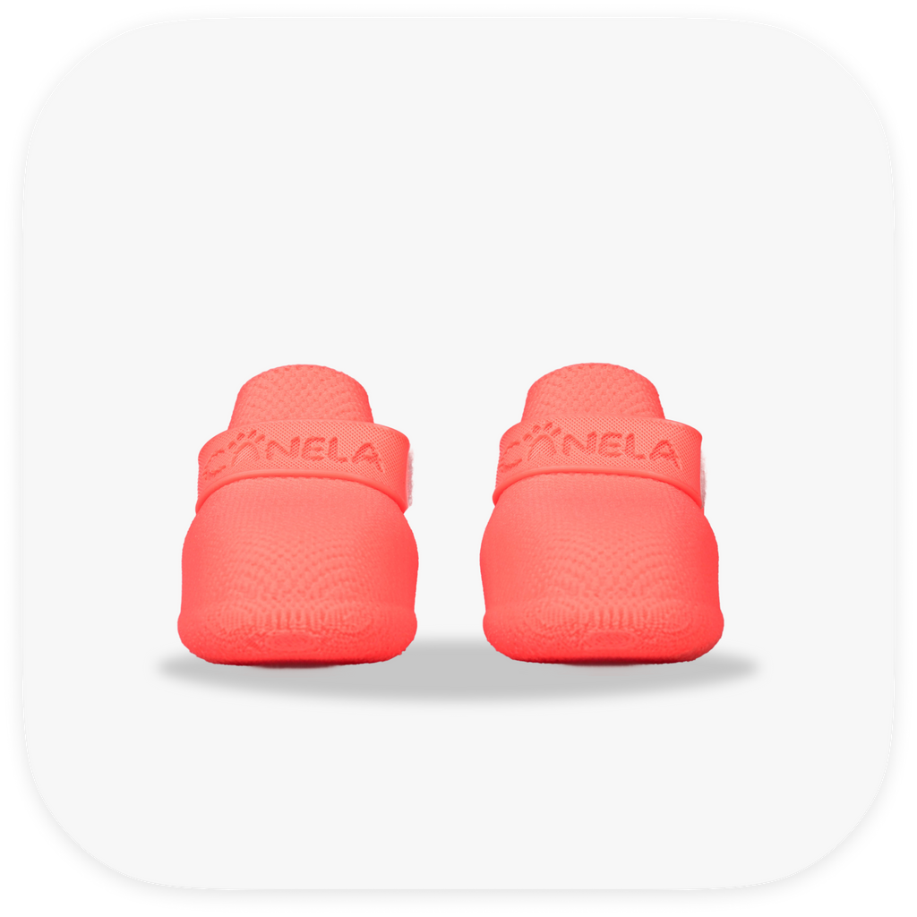 Canela ForméFit Original - Watermelon Sugar custom-fit dog boots - front view